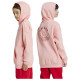 Adidas Παιδικό φούτερ Graphic Hoodie Kinds